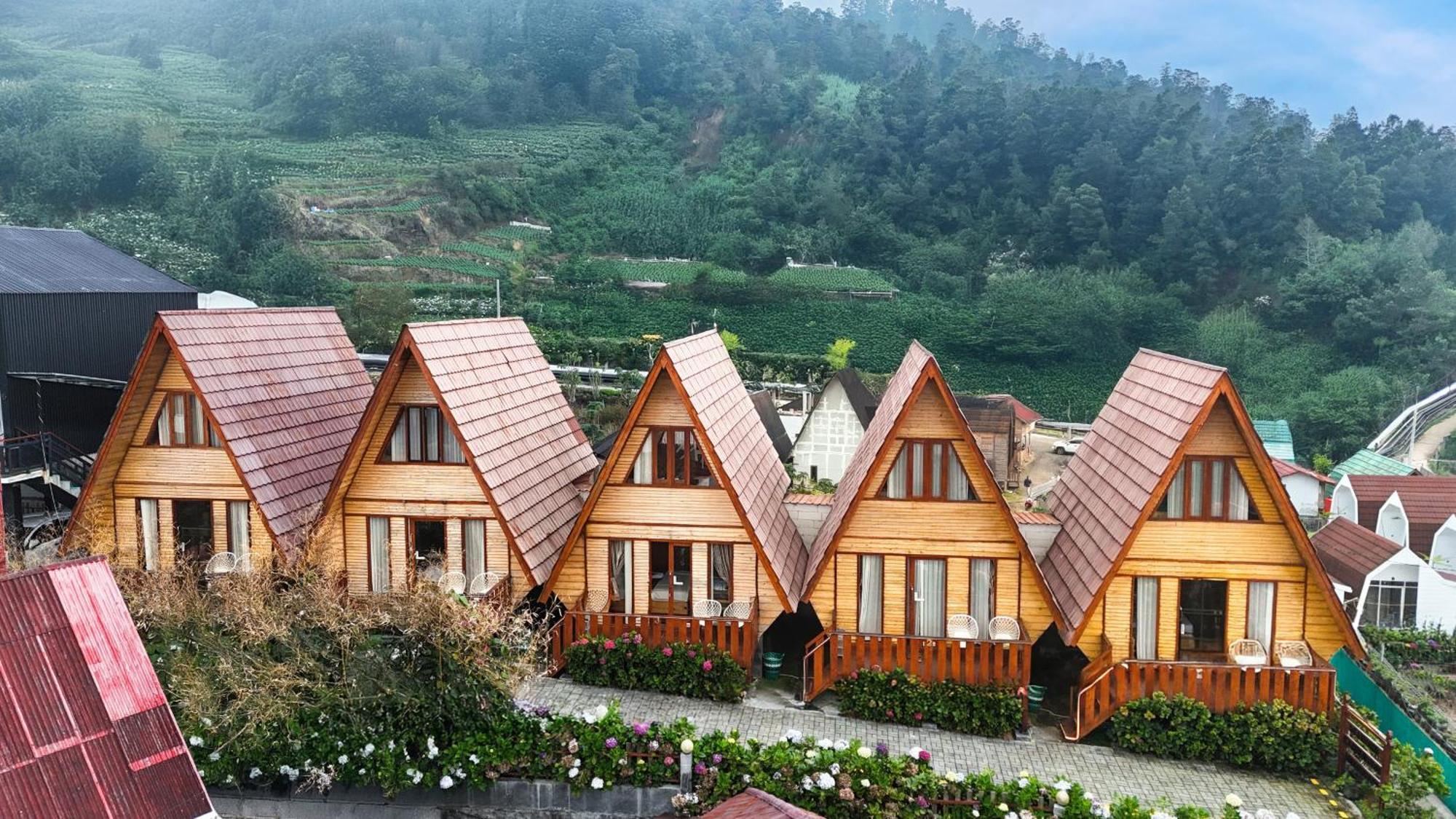 Diamond House Lodge